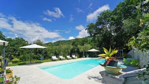 A rectangular swimming pool with white lounge chairs and umbrellas, surrounded by greenery and a stone wall.