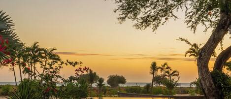 2 outdoor pools, open 10:00 AM to 10:00 PM, pool umbrellas