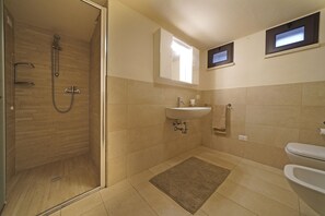 Shower, hair dryer, bidet, towels