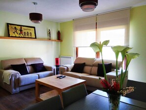 Smart TV, fireplace, DVD player, books