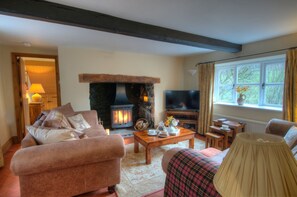 TV, fireplace, DVD player, books - Pretty Stone Cottage: Hot Tub, Real Fire, Wifi & Riverside Views (Pont-faen)