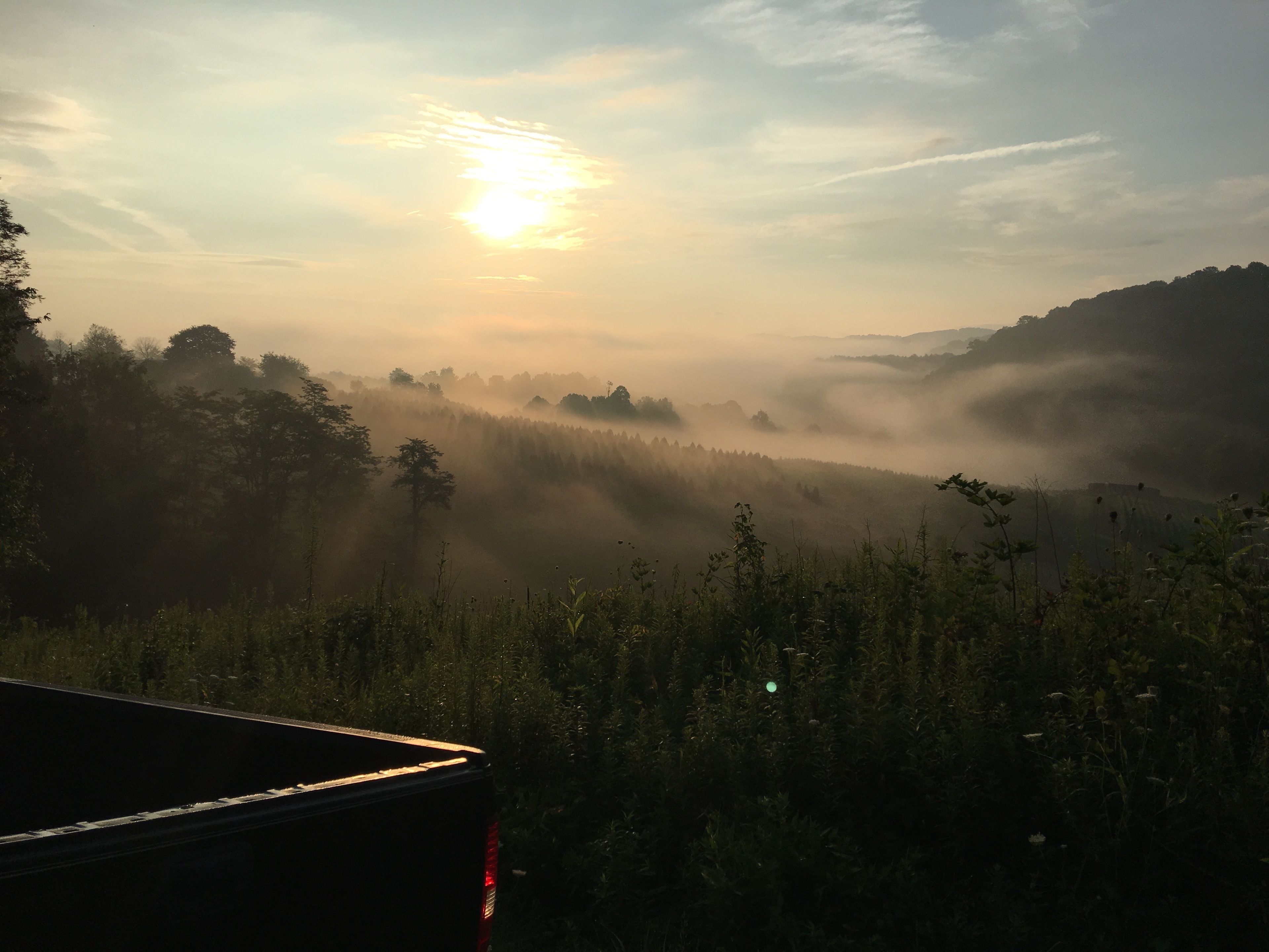 Un lever de soleil sur une forêt brumeuse, avec un véhicule au premier plan.