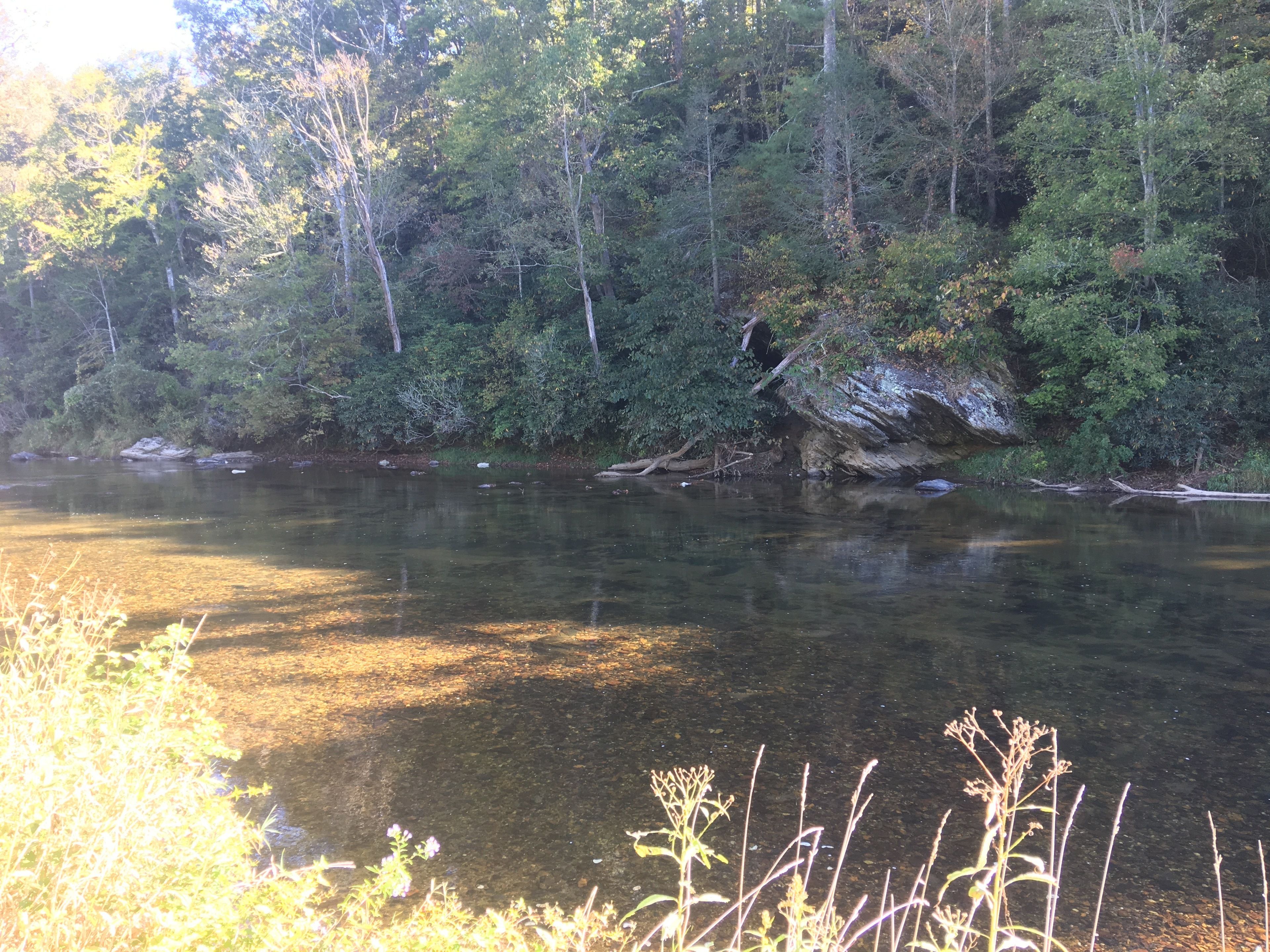 A river surrounded by dense forest.