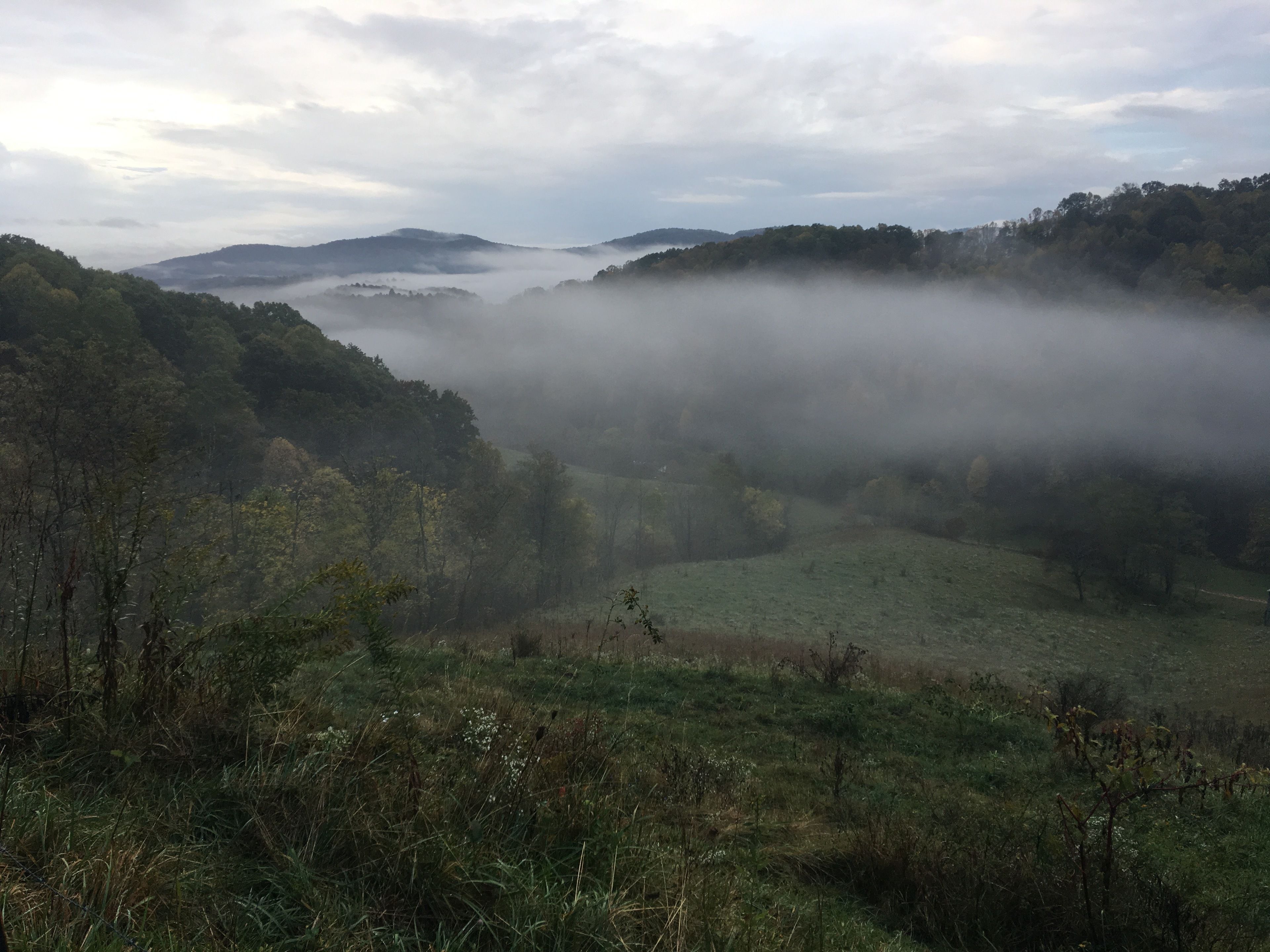 A valley with a misty landscape, rolling hills, and dense forest.
