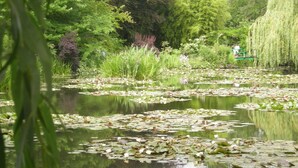Een vredig vijver met waterlelies en weelderige begroeiing, omringd door bomen en een treurwilg.