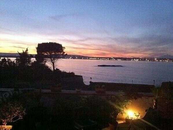 A coastal view at dusk with a tree silhouetted against the sky, a calm sea, and distant city lights.