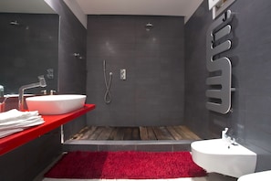 Regadera, secadora de cabello, bidet, toallas