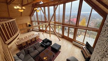 TV connectée, cheminée, lecteur de DVD, livres