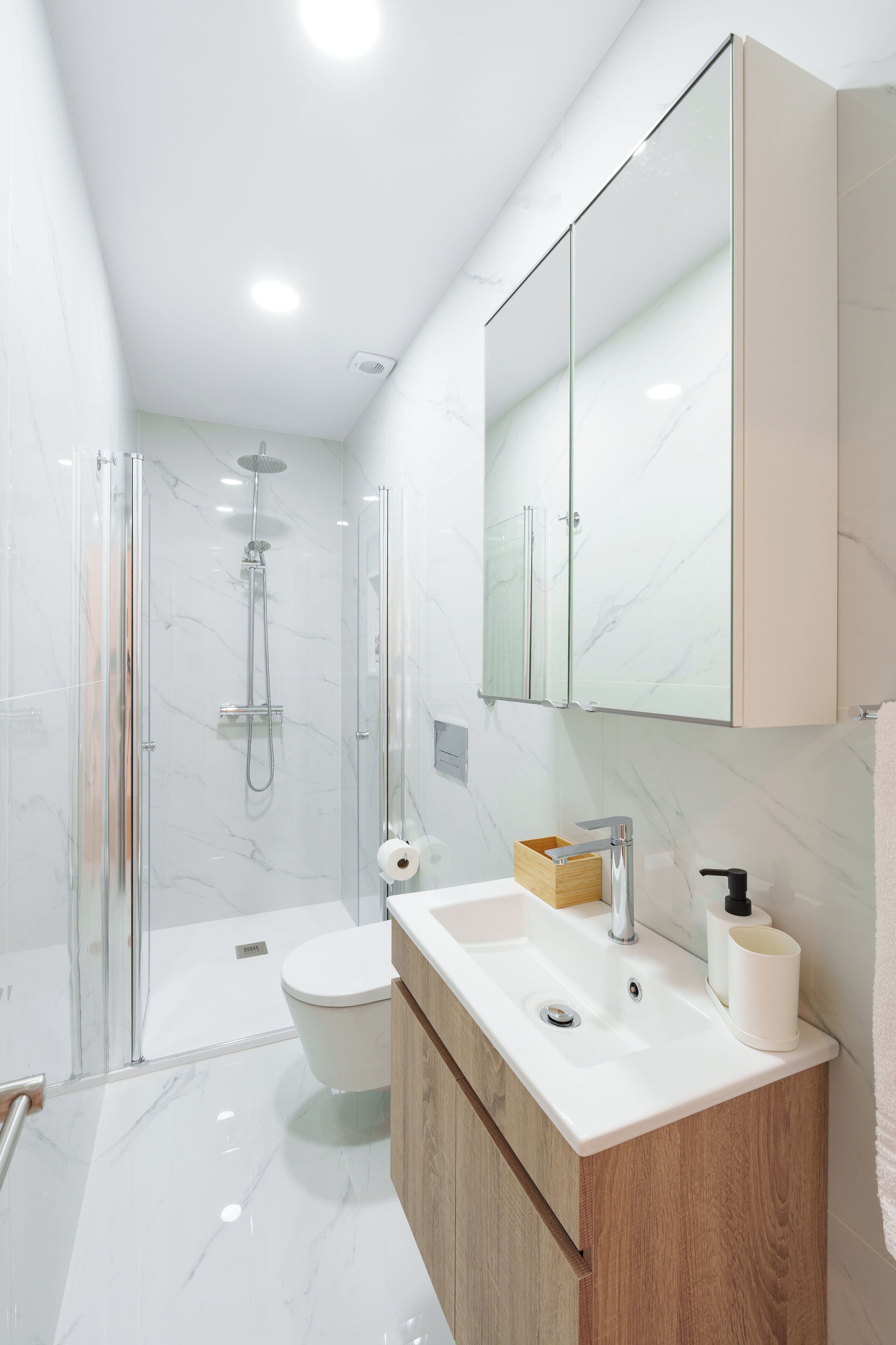 Combined shower/tub, hair dryer, bidet, towels