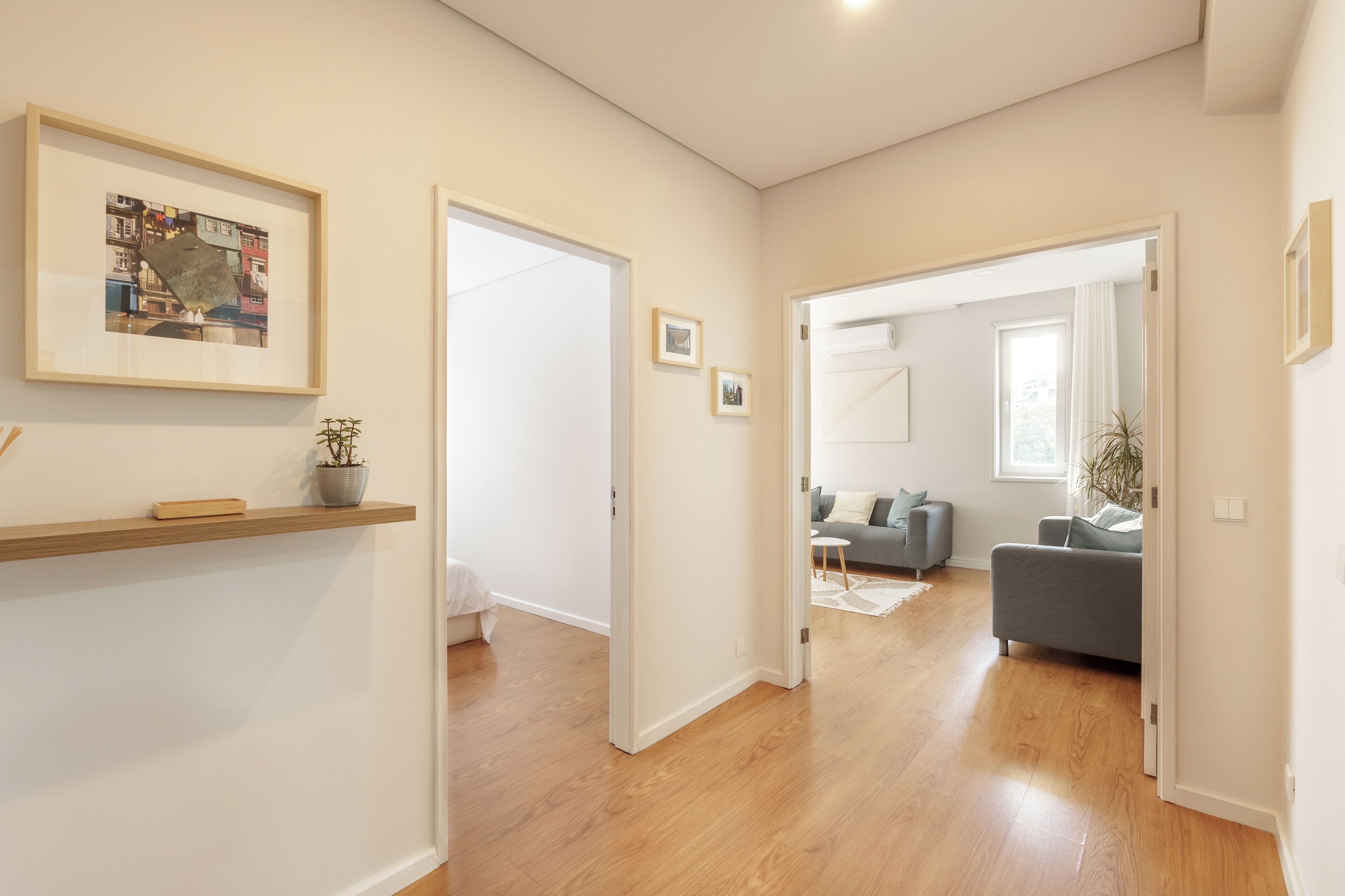 Televisión y reproductor de DVD 