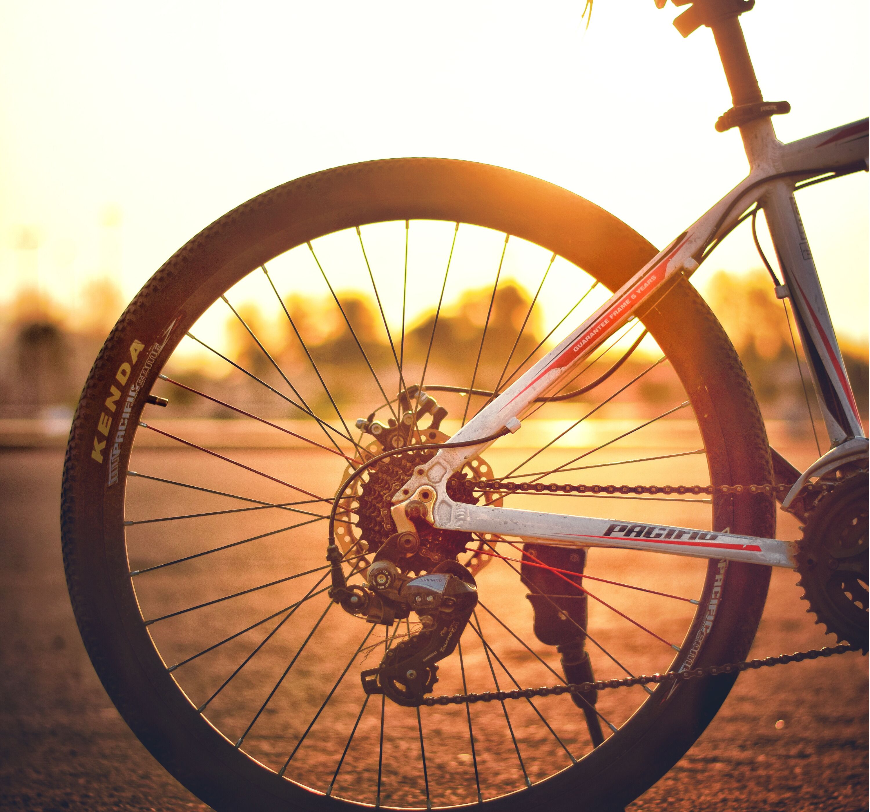 A close-up of a bicycle wheel with a chain and gear mechanism, set against a blurred background with warm lighting.