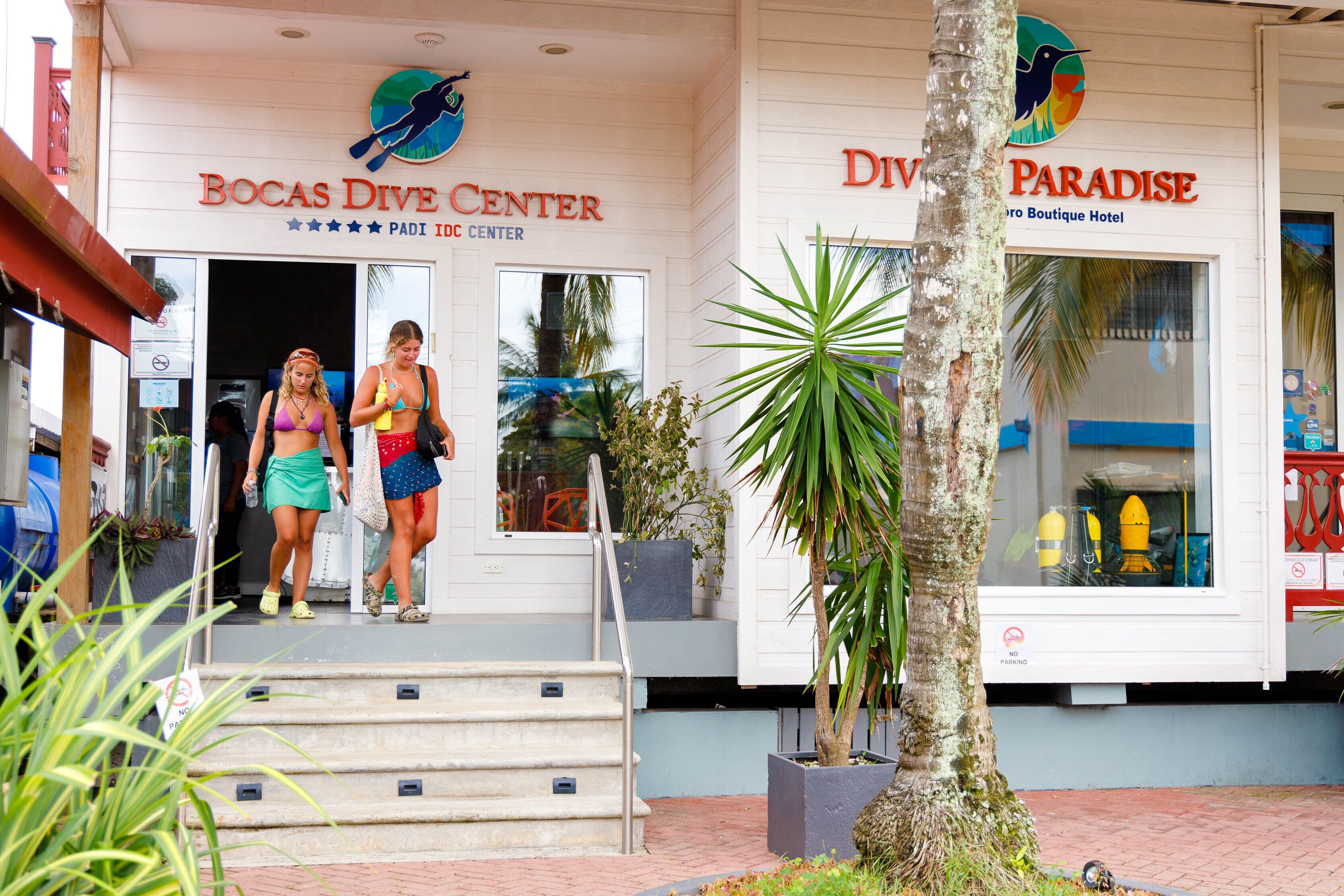 The entrance to Bocas Dive Center and Paradise Boutique Hotel with steps leading up to the entrance, palm trees, and a no parking sign.