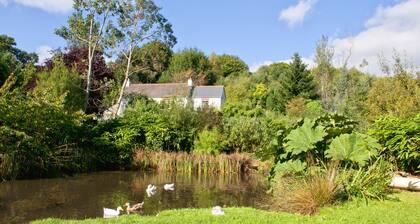 Glamping 1967 Retro American Airstream