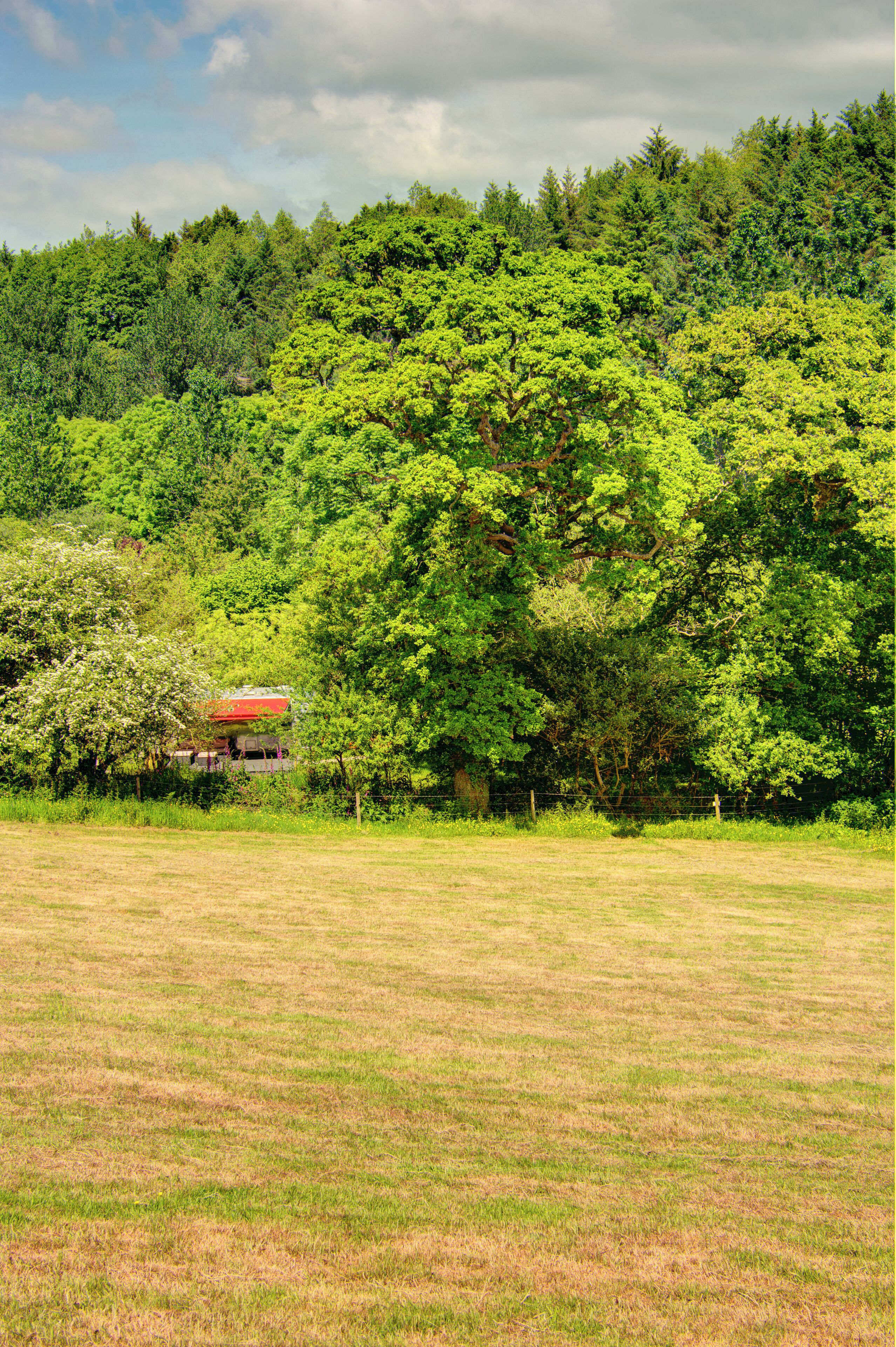 Un campo cubierto de hierba con un edificio de techo rojo rodeado de árboles verdes y frondosos.