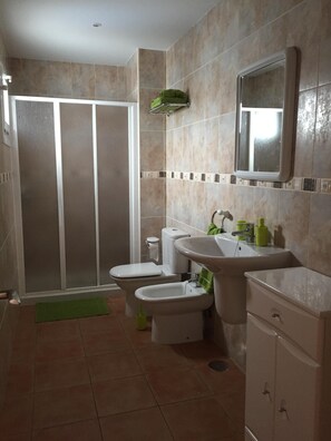Regadera, secadora de cabello, bidet, toallas 