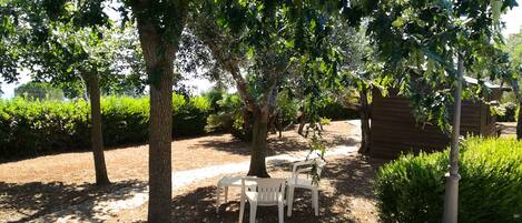 A garden with trees, a gravel path, and two white chairs.