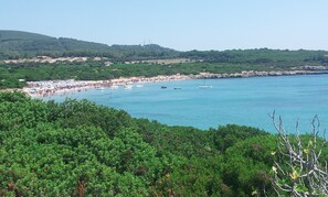 Playa en los alrededores 