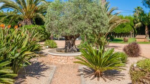 A garden with palm trees, a stone pathway, and various shrubs. - Golfers / Cyclists / Families - 5 persons / 2 babies / 2 children - Pool - BBQ  (Llucmajor)