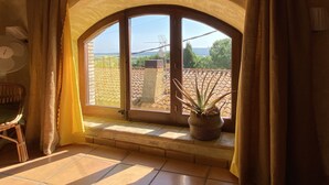 A room with a large arched window, a potted plant, and a chair.