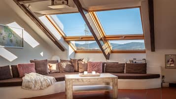 TV connectée, cheminée, lecteur de DVD, livres