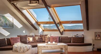 Fantastique appartement Ă Goslar am Harz