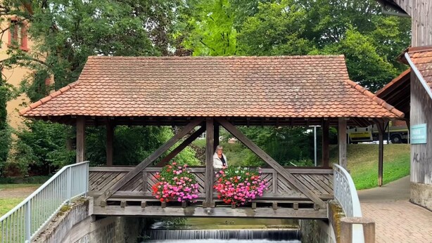 A wooden gazebo with a tiled roof, a small waterfall, and flower pots. - Modern spacious apartment in a quiet south-facing slope. (Kandern)