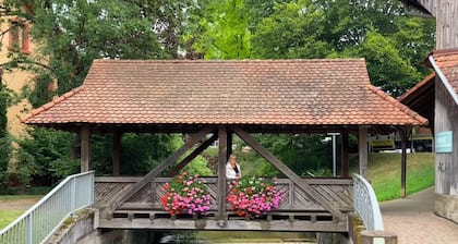 Modern spacious apartment in a quiet south-facing slope.