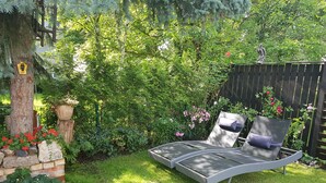 Un jardin avec un arbre, un banc et une clôture.