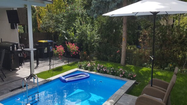 Une piscine rectangulaire avec un escalier, entourée d’une pelouse agrémentée de fleurs et d’arbres.