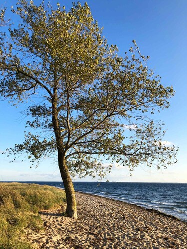 Traumferienwohnung mit umzäunte Garten, herrlicher Aussicht und ganz viel Platz