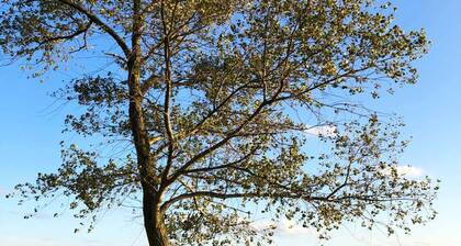 Dream vacation apartment with fenced garden, wonderful view and lots of space