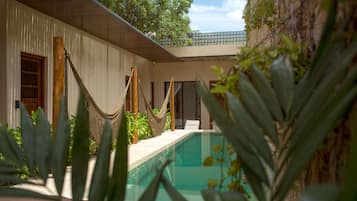 Outdoor pool, sun loungers