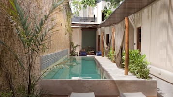 Outdoor pool, sun loungers