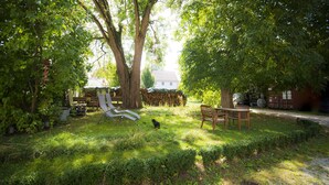A garden with a bench, a table, and a cat. - 3 Stars Holiday House - Historic ambience of the 18th century. Century (Niederleierndorf)