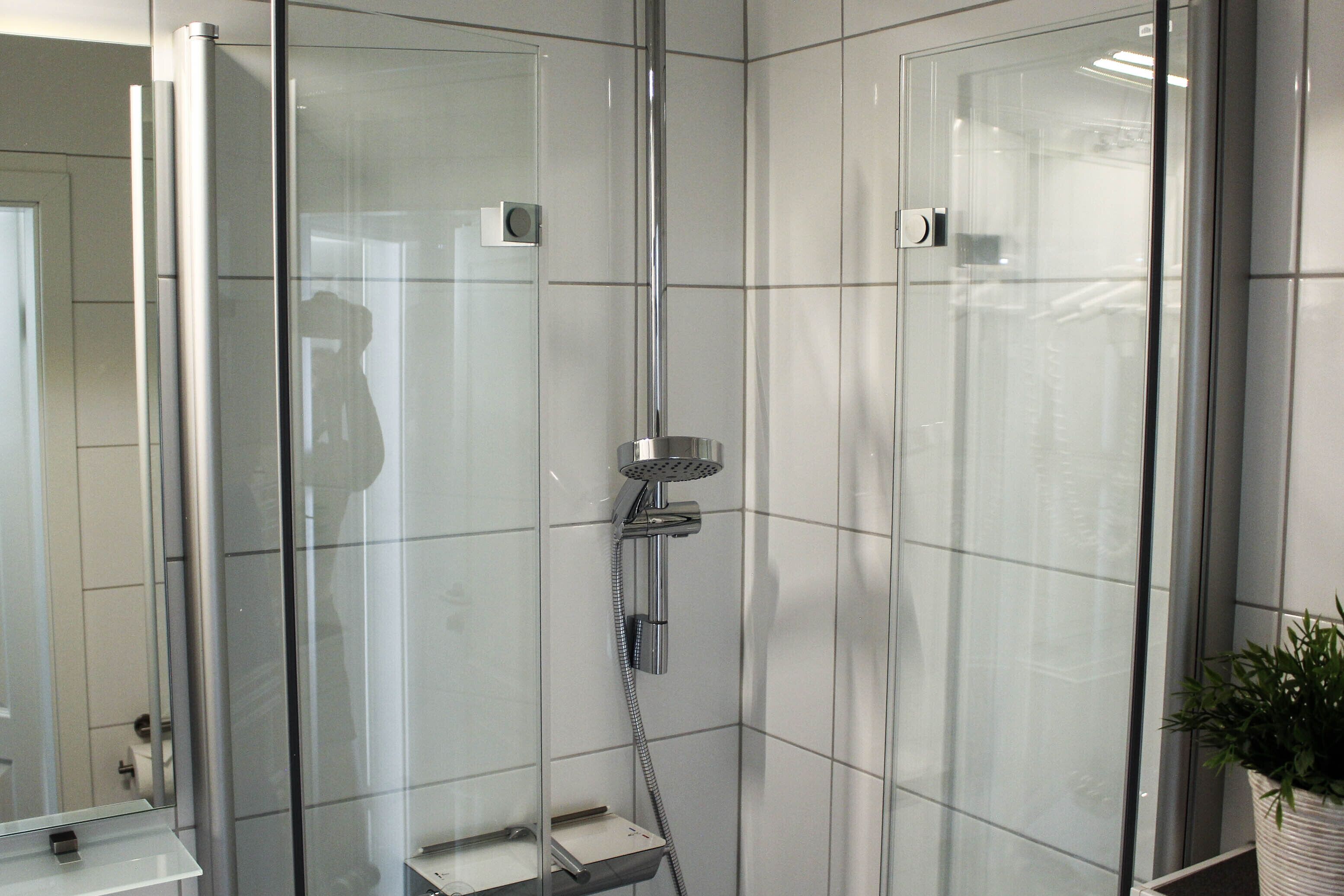Ein modernes Badezimmer mit einer gläsernen Duschkabine, einem Spiegel und einer Topfpflanze.
