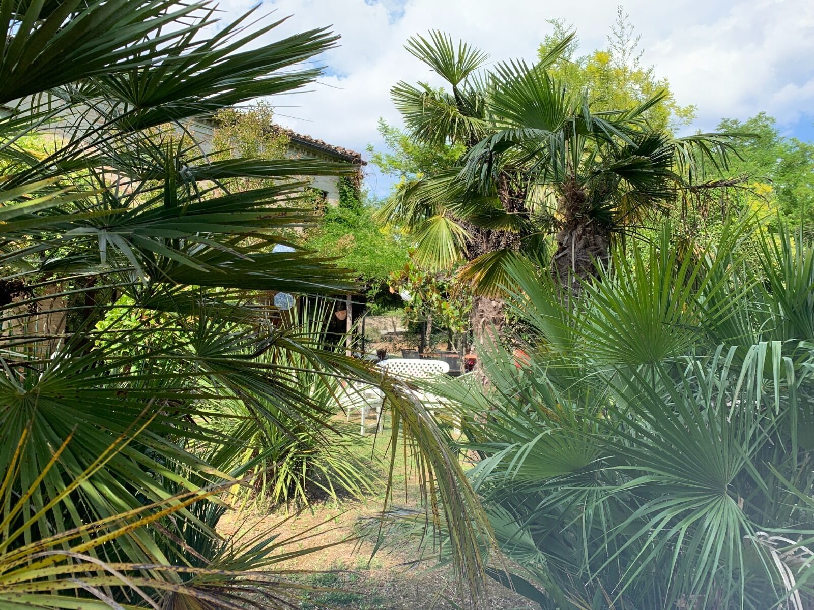 Un jardin luxuriant, avec une variété de plantes tropicales, une structure en pierre et une chaise blanche.