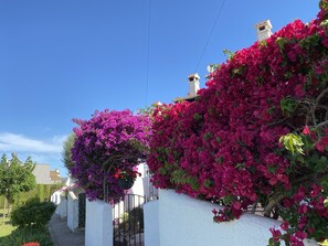 未分类图片，第 5 张，共 40 张，按钮