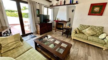 Smart TV, fireplace, video games, DVD player