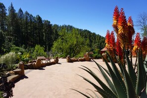 Terrein van de accommodatie