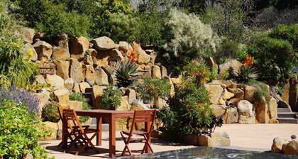 Allas Finca Northwest La Palma - ehdoton rauhallinen ja syrjäinen sijainti - aktiivinen viinitarha