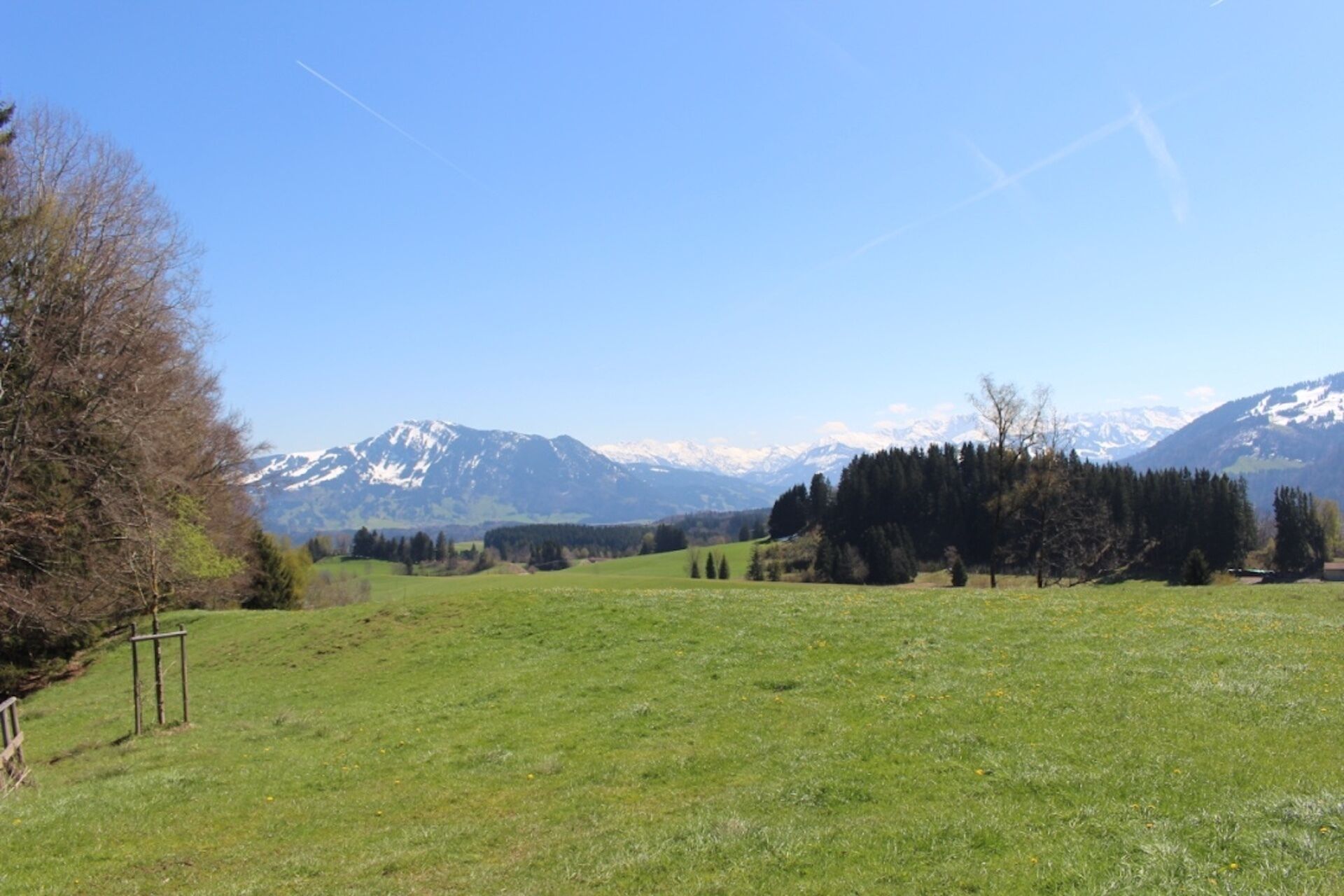 A grassy field with a mountain range in the background.