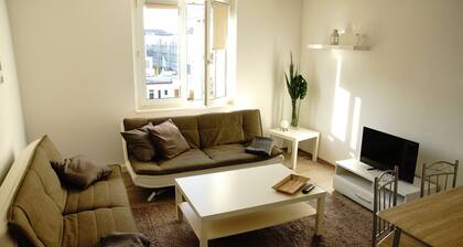 Nice, cozy 3-room top floor apartment in Plagwitz
