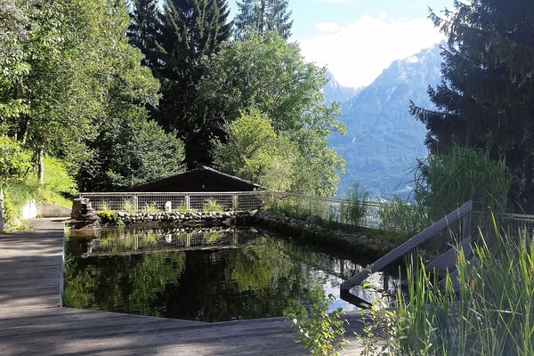 Naturteich mit Liegemöglichkeiten