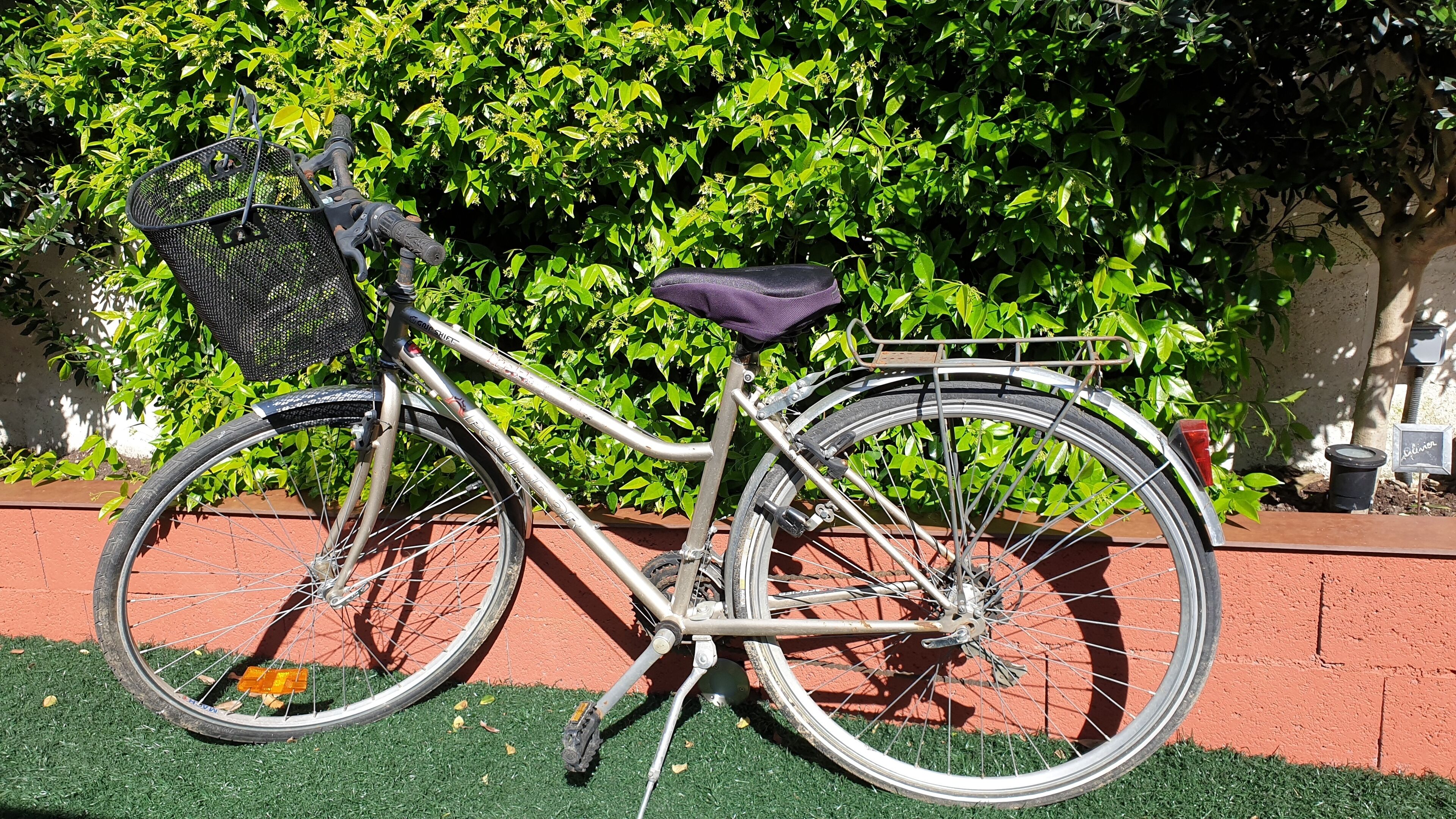 A bicycle with a basket and a seat, parked on a green surface with a brick wall and foliage in the background.