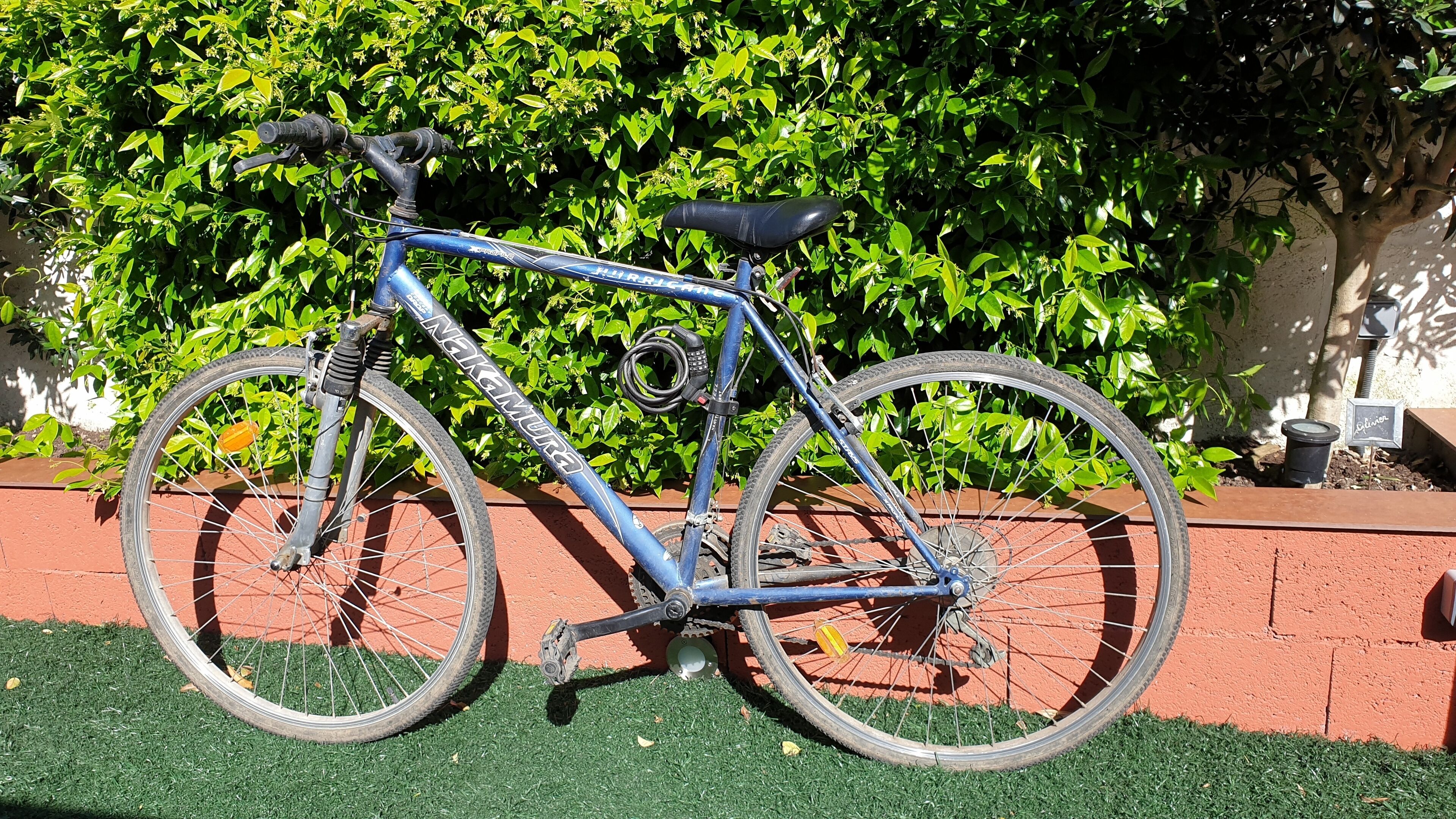 Un vélo bleu est garé contre un mur de briques, avec une haie verte en arrière-plan.