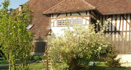 Bright room with private bathroom / Bright room with private bathroom