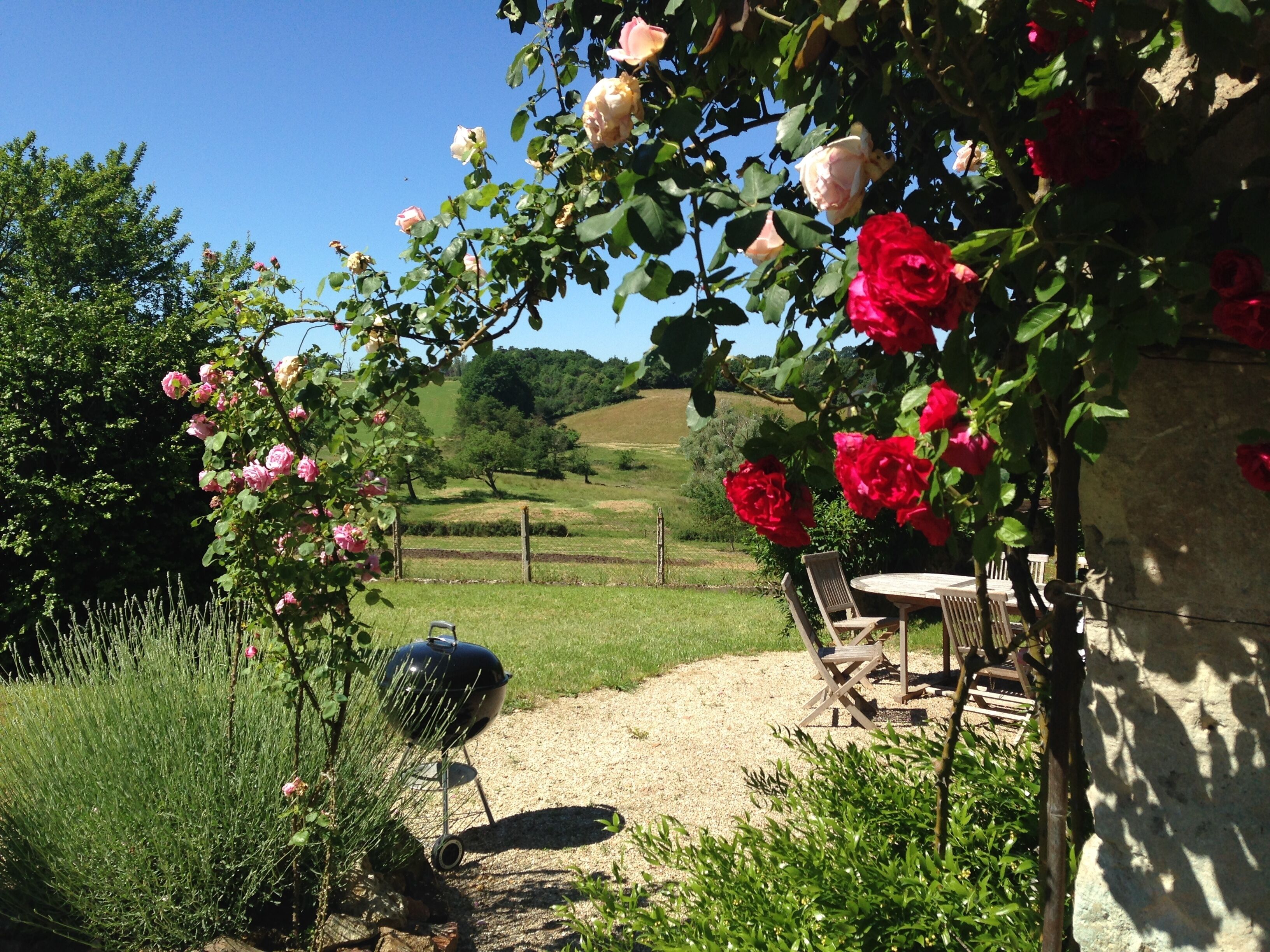 A garden with a barbecue grill, outdoor seating, and blooming roses.