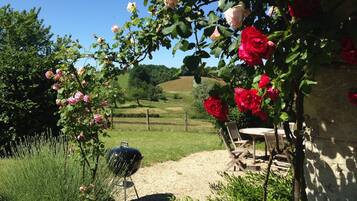 A garden with a barbecue grill, outdoor seating, and blooming roses.