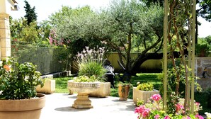 Un jardín con plantas en macetas y un pérgola.