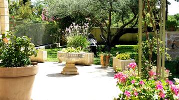 テラス / パティオ